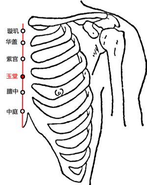 玉穴|玉堂